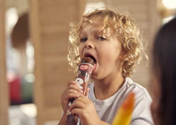 OLA-ijs bestellen bij Unilever Partners